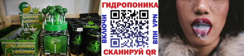 Canna-Cookies марихуана  кракен ссылки  Пучеж 